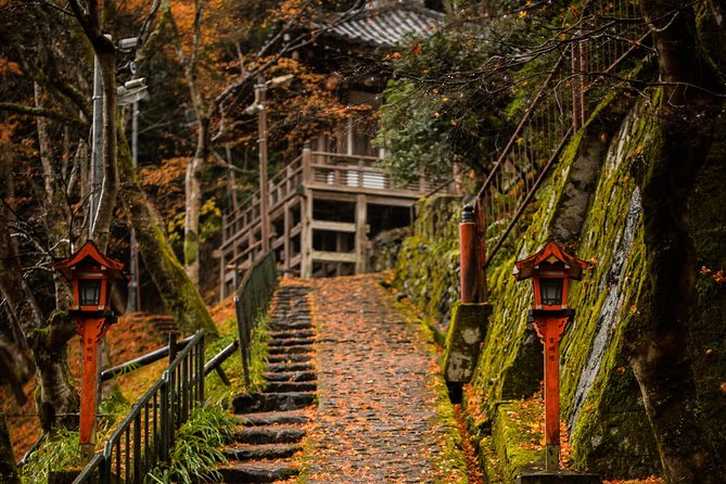 Kyoto Bamboo Forest Electric Bike Tour - Final Recommendations