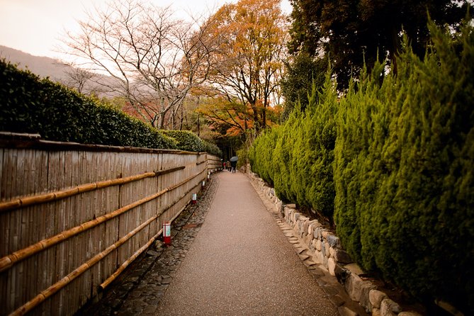 Kyoto Bamboo Forest Electric Bike Tour - Frequently Asked Questions