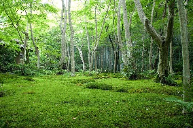 Kyoto Bamboo Forest Electric Bike Tour - Cancellation Policy