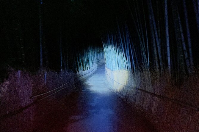 Kyoto Ghost Tour - Ghosts, Mysteries & Bamboo Forest at Night - Just The Basics