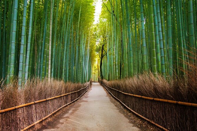 Arashiyama Walking Tour - Bamboo Forest, Monkey Park & Secrets - Sunset Tour Experience