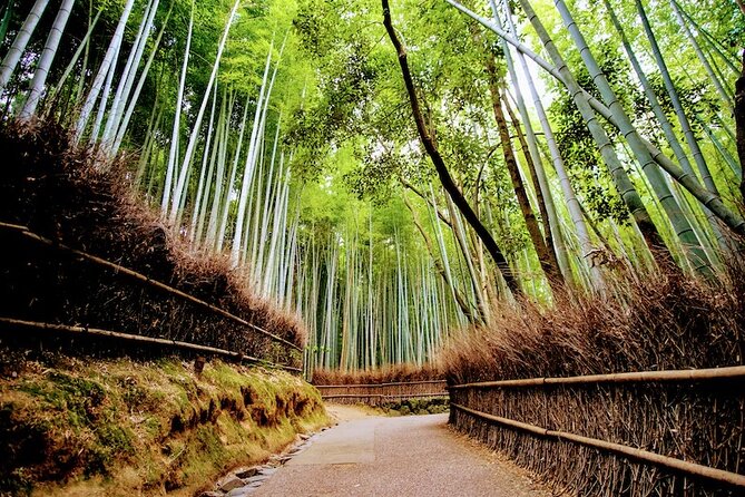 Arashiyama Walking Tour - Bamboo Forest, Monkey Park & Secrets - Customer Experience and Recommendations