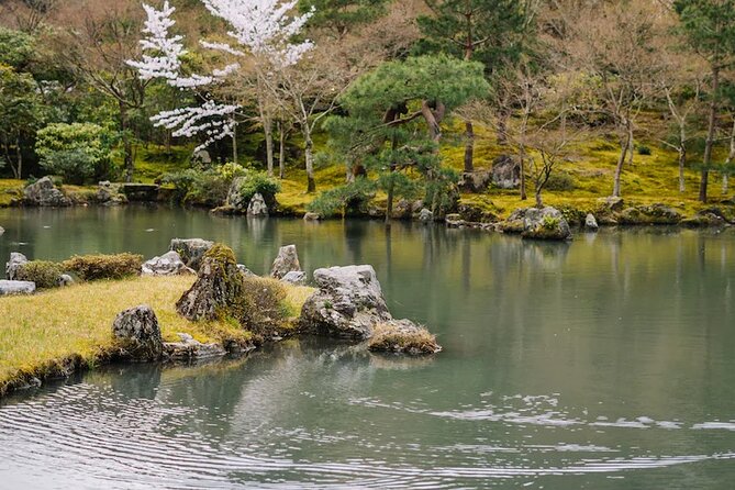 Arashiyama Walking Tour - Bamboo Forest, Monkey Park & Secrets - Booking and Contact Details