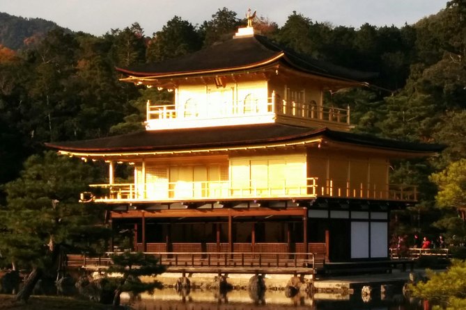 Private Highlights of Kyoto Tour - Inclusions and Amenities