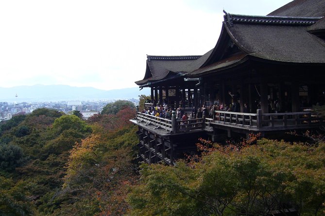 Private Highlights of Kyoto Tour - Customer Reviews