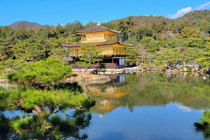 Private Guided Historical Sightseeing Tour in Kyoto - Customer Experiences Highlight