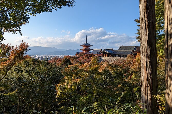 Tour in Kyoto With a Goverment Certified Tour Guide - Key Takeaways