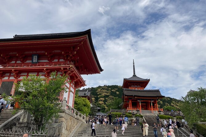 Kyoto Private Magical Tour With a Local Guide - Reviews and Ratings