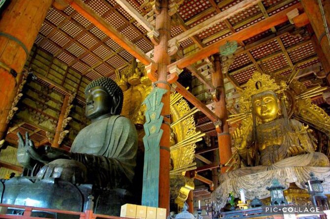 Private Tour Kyoto-Nara W/Hotel Pick up & Drop off From Kyoto - Pricing and Group Size