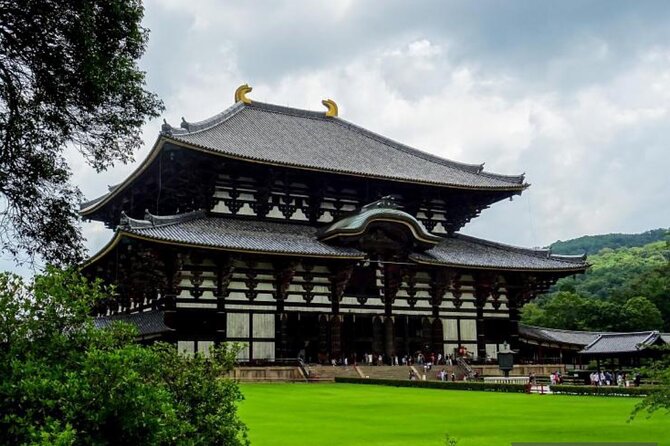 Private Tour Kyoto-Nara W/Hotel Pick up & Drop off From Kyoto - Customer Reviews