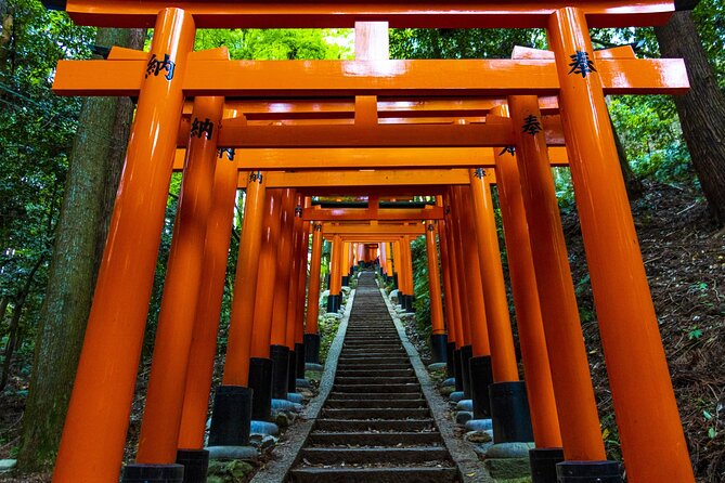 Fushimi Inari Mountain Hiking Tour With a Local Guide - Hiking Trail Overview