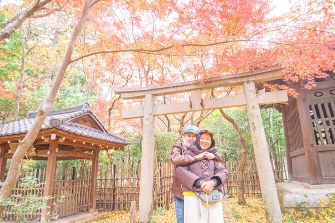 Private Car Tour Lets Uncover Secrets of Majestic Kyoto History - Key Takeaways