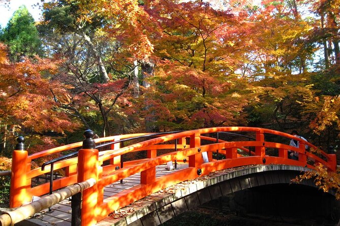 Historical Kyoto Bike Tour - Responses