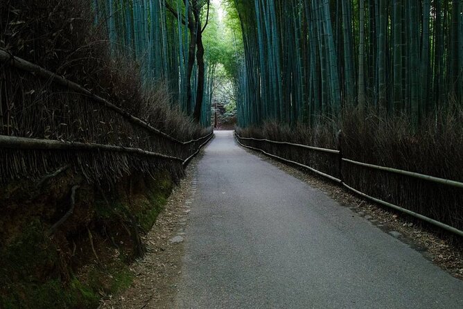 Kyoto Bamboo Forest & Golden Pavilion (E-Bike or Sport Bike) - Directions