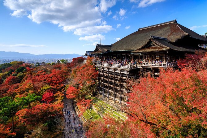 Kyoto Golden Pavilion and Nijo Castle Tour - Pricing Details