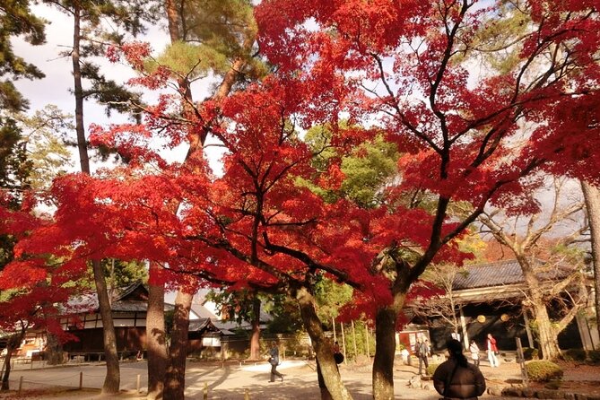 Full Day Private Walking Day Tour in Kyoto With Tea - Accessibility Information