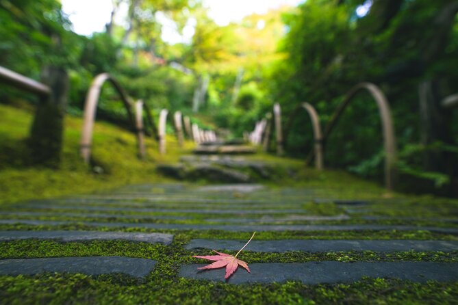 Kyoto Arashiyama Bamboo Forest & Garden Half-Day Walking Tour - End Point