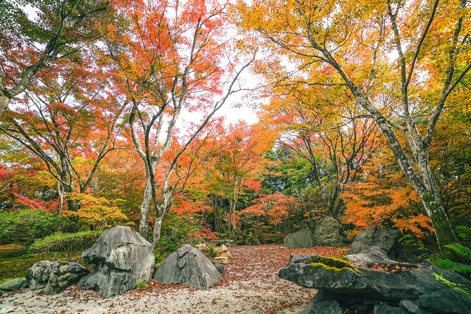 Kyoto Arashiyama Bamboo Forest & Garden Half-Day Walking Tour - Directions