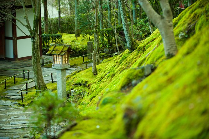 Private 3-hour Kyoto Arashiyama Rickshaw Tour - Meeting and Pickup