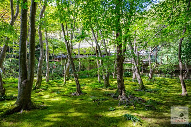 Private 3-hour Kyoto Arashiyama Rickshaw Tour - Frequently Asked Questions