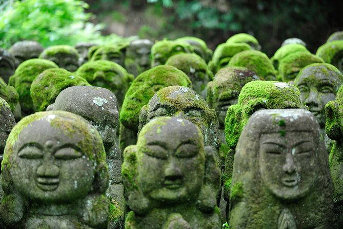 Private 3-hour Kyoto Arashiyama Rickshaw Tour - Accessibility