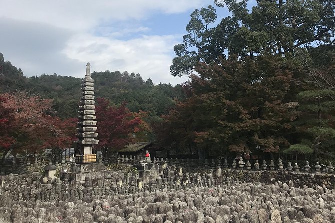 Kyoto: Descending Arashiyama (Private) - Reviews