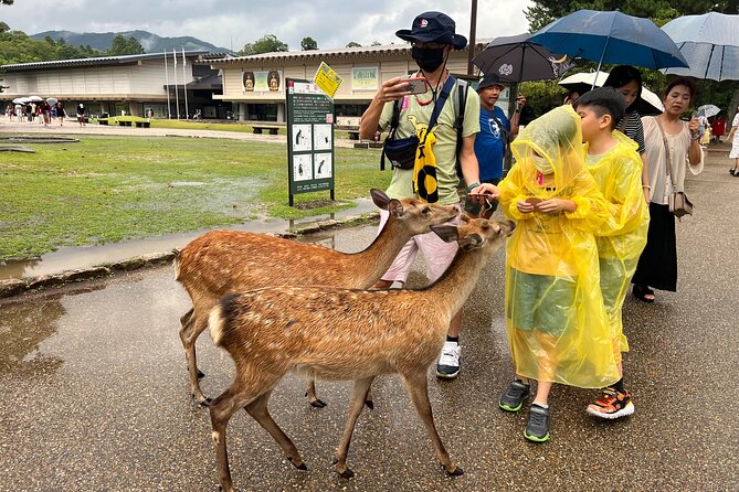 Kyoto and Nara 1 Day Bus Tour - Meeting and Pickup Information