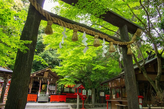 Private Tour - Feel the History of Kyoto! Arashiyama Perfect Tour - Important Details