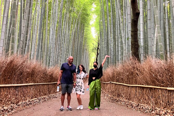 Private Kyoto Tour With Government-Licensed Guide and Vehicle (Max 7 Persons) - Reviews and Testimonials