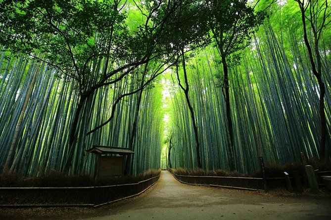 Kyoto Arashiyama & Sagano Bamboo Private Tour With Government-Licensed Guide - Meeting Point Instructions