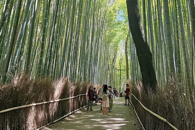 Kyotos Arashiyama Bamboo Grove: 3-Hour Guided Tour - Key Takeaways