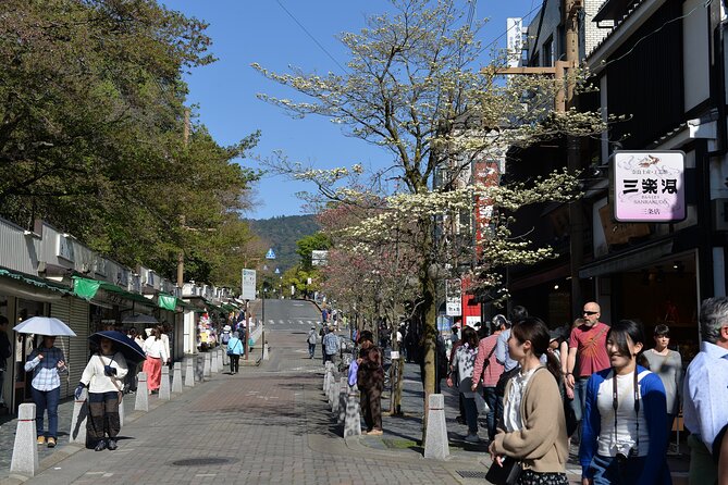 Old Port Town and Ultimate Sake Tasting Private Tour From Kyoto - Conclusion