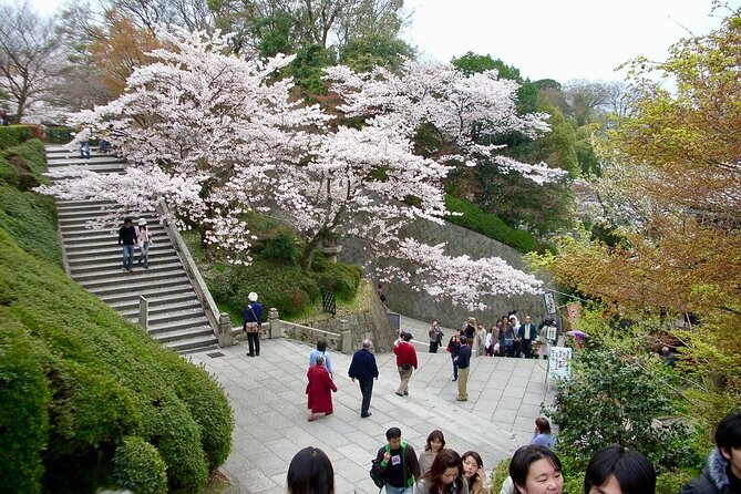 Higashiyama Kiyomizudera and Yasaka Shrine Discovery Walking Tour - Conclusion