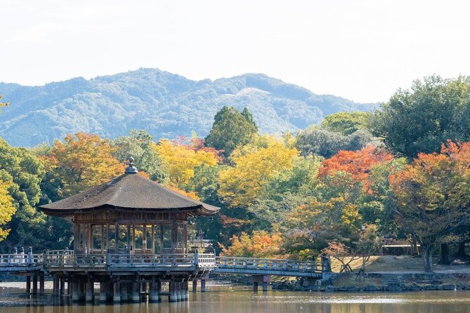 Nara : Private Full-Tour With a Local Guide - Frequently Asked Questions