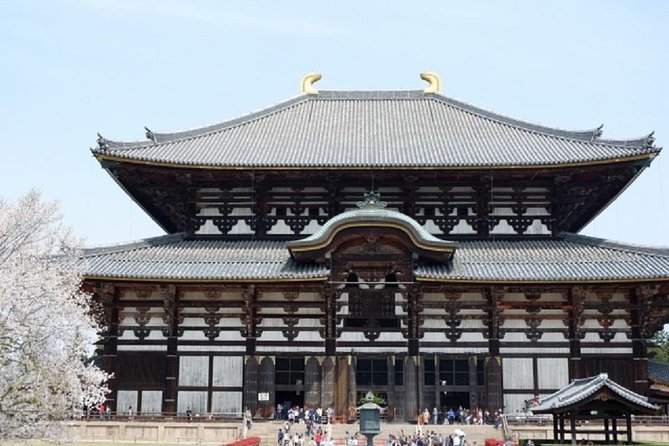 Nara Private Tour by Public Transportation From Osaka - Additional Information