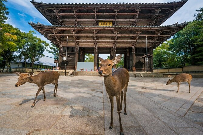 Arashiyama & Yasaka Shrine & Nara & Todaiji Day Trip From Osaka - Sightseeing Attractions