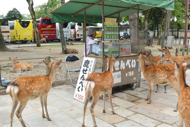 Arashiyama & Yasaka Shrine & Nara & Todaiji Day Trip From Osaka - Conclusion