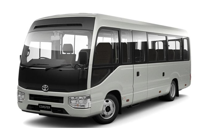 Private & Custom OSAKA Day Tour by Toyota COASTER/MICROBUS (Max 27 Pax) - Price & Directions