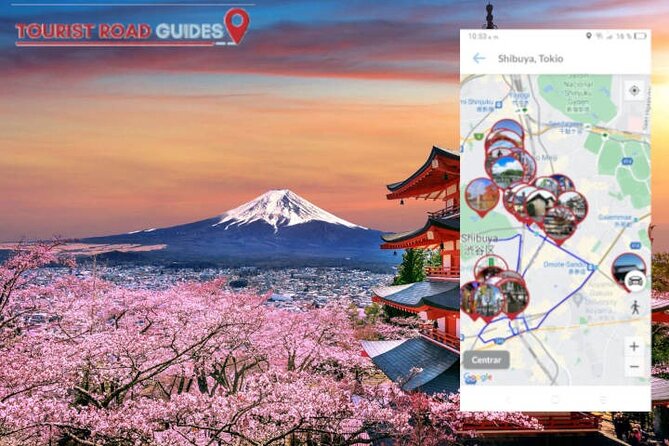 Audio Guide App Japan Tokyo Kyoto Takayama Kanazawa Nikko and Others - Accessibility and Special Accommodations