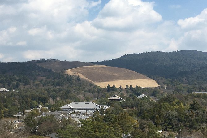 Full-Day Private Guided Tour to Nara Temples - Tour Inclusions