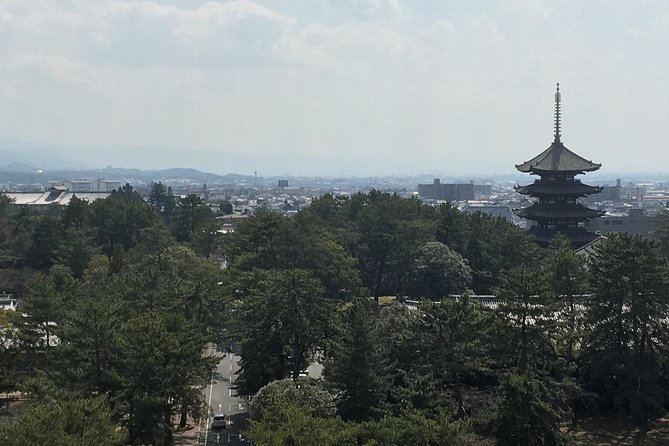 Full-Day Private Guided Tour to Nara Temples - What To Expect