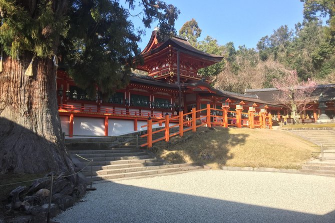 Full-Day Private Guided Tour to Nara Temples - Accessibility Information