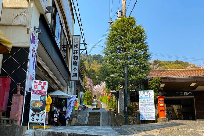 Scenic View of Amanohashidate and Ine Village From Osaka - Conclusion