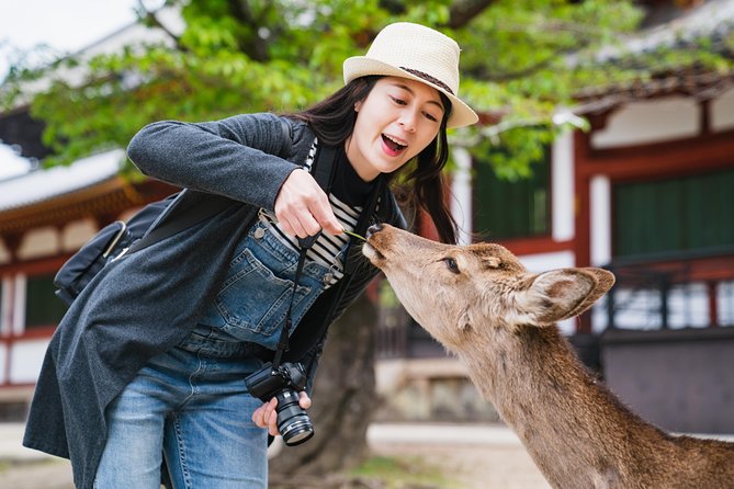 Full Day Excursion: Kyoto and Nara Highlights From Kyoto/Osaka - Just The Basics