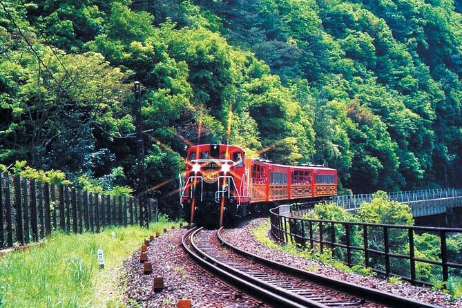 Sagano Romantic Train & Arashiyama, Kiyomizudera, Fushimi Inari Taisha Day Tour - Tour Inclusions