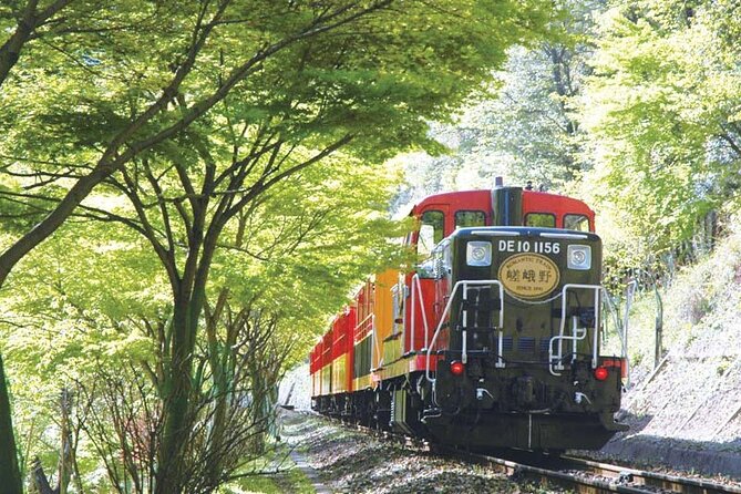 Sagano Romantic Train & Arashiyama, Kiyomizudera, Fushimi Inari Taisha Day Tour - Additional Details