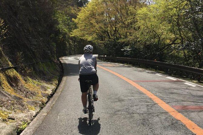 Private & Customized - Kansai Cycle Tour - Conclusion