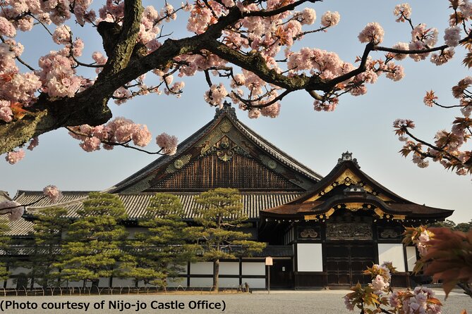 Kyoto 1 Day Trip-Golden Pavilion & Kiyomizu Temple From Osaka - Additional Information