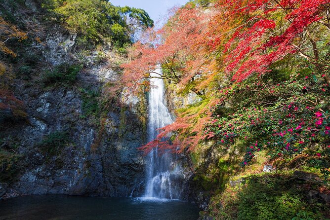 Nature Walk at Minoo Park, the Best Nature and Waterfall in Osaka - What to Expect