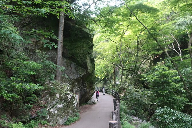 Minoh Waterfall and Nature Walk Through the Minoh Park - Visitor Reviews and Feedback